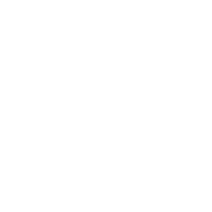 Telephone icon